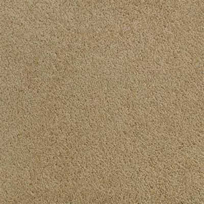 Fabrica Denali Ovation 210DN-DN12