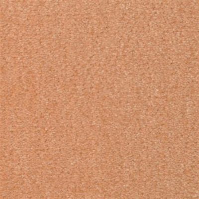 Fabrica Seduction in Tango 215SD-SD40