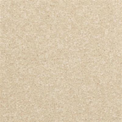 Dixie Home Inspiring Inland 2302-27312