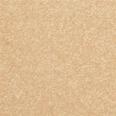 Dixie Home Inspiring Inland 2302-27341