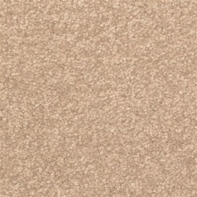 Dixie Home Inspiring Insightful 2302-37306