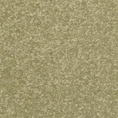 Dixie Home Inspiring Inland 2302-57328