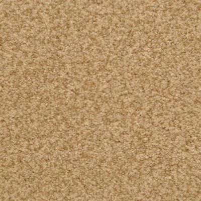 Dixie Home Semitones Cheetah 2358-26411