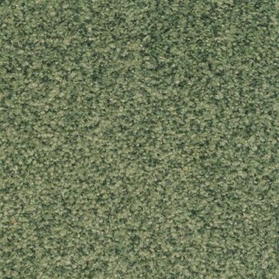 Dixie Home Semitones Hunt Club 2358-58532