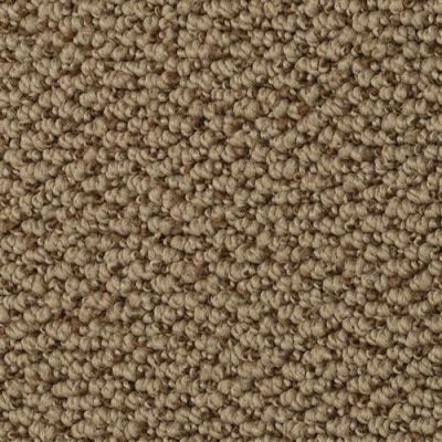 Dixie Home Authentic Living Bison 4467-37337