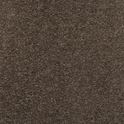 Dixie Home Soft & Silky Sand Dune 4699-36056