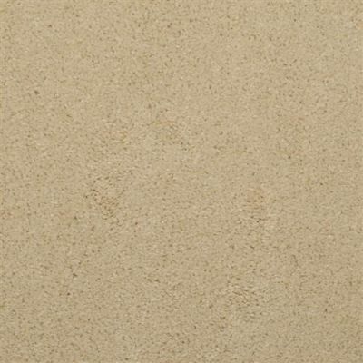 Dixie Home Soft & Silky Salt Pepper 4699-46066