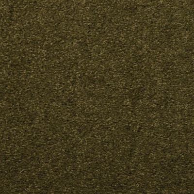 Dixie Home Soft & Silky Sand Dollar 4699-56061