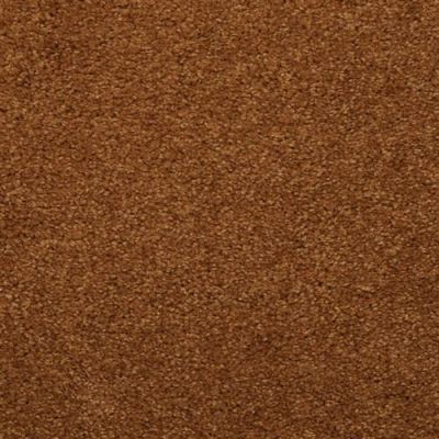 Dixie Home Soft & Silky Sand 4699-76037