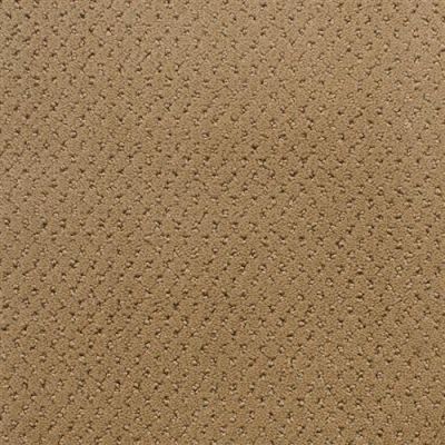 Fabrica Power Point Cognac 602PP-PP17