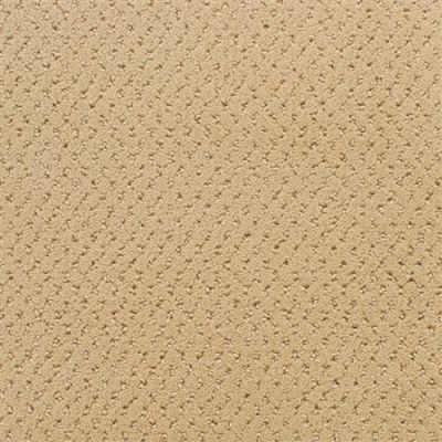 Fabrica Power Point Spiced Curry 602PP-PP14