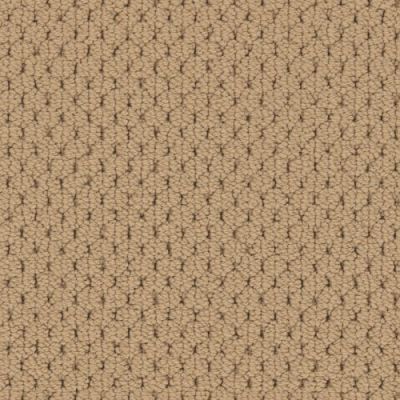 Fabrica Adulation Corvo 610AD-198AD