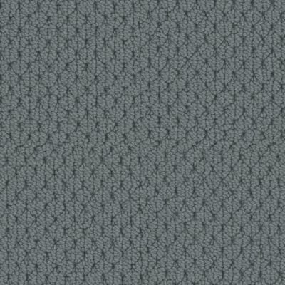 Fabrica Adulation Cortina 610AD-576AD