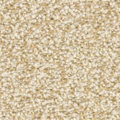 Dixie Home Gusto Greyhound 6124-82007