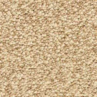 Dixie Home Spirit Sea Shell 6129-24003