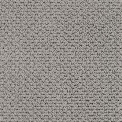 Masland Beachfront Dolphin Grey 9704-949