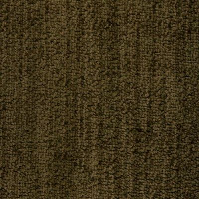 Masland Bellini Cacao 9221-673