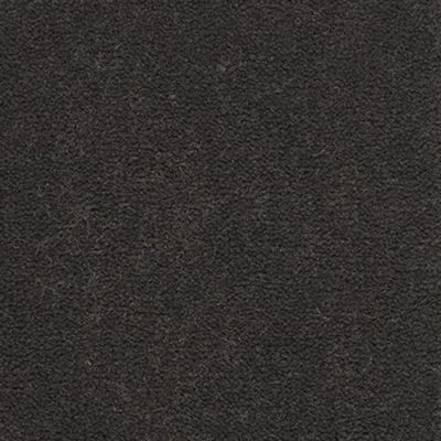 Masland Panache Tempest 9431-244