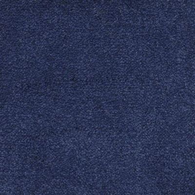 Masland Panache Admiral 9431-296