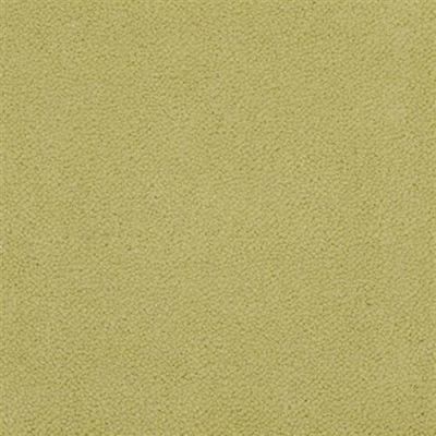 Masland Panache Pistachio 9431-377