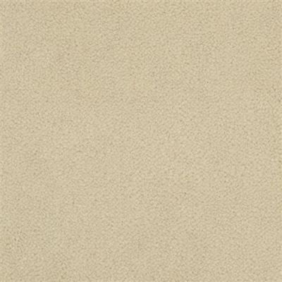 Masland Panache Navajo White 9431-414