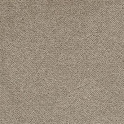 Masland Panache Ash 9431-418