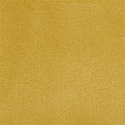 Masland Panache Saffron 9431-431