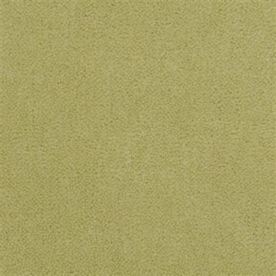 Masland Panache Lotos 9431-438