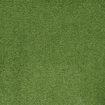 Masland Panache Masters 9431-452