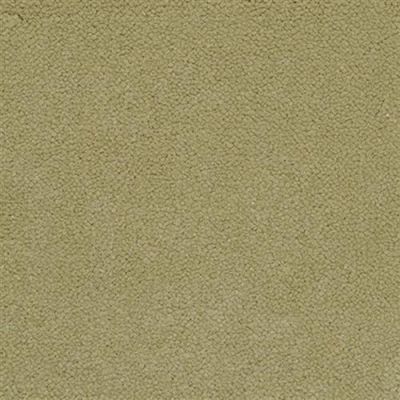 Masland Panache Calypso 9431-495