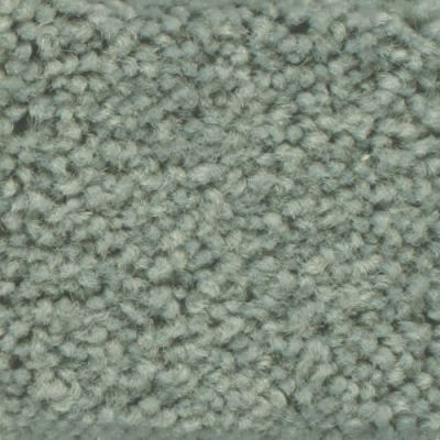 Masland Americana Largo 9439-419