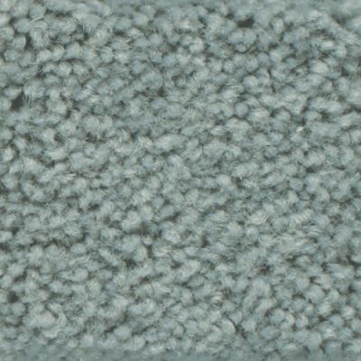 Masland Americana Captiva 9439-450