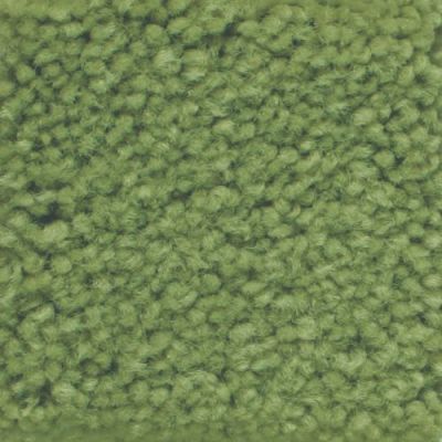 Masland Americana Playground 9439-771