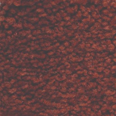 Masland Americana Desert Paintbrush 9439-981