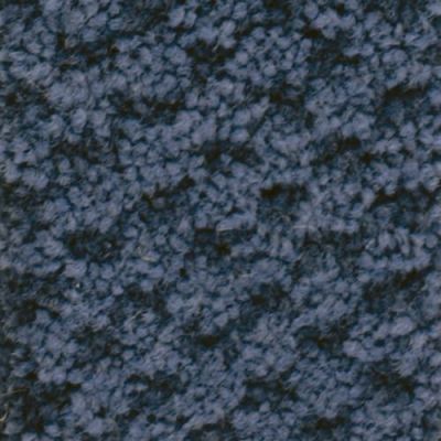 Masland Seurat Cobalt 9440-459