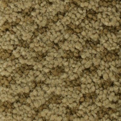 Masland Seurat Raw Umber 9440-645