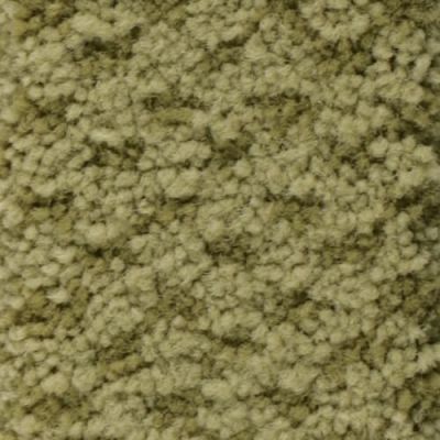 Masland Seurat Celadon 9440-737