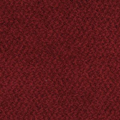 Masland New Hope Currant 9478-185