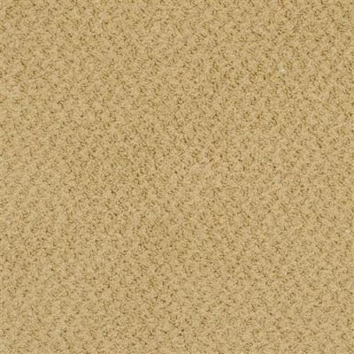 Masland New Hope Curry 9478-360