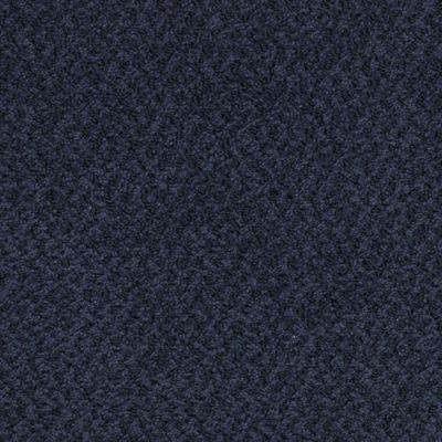 Masland New Hope Midnight 9478-490