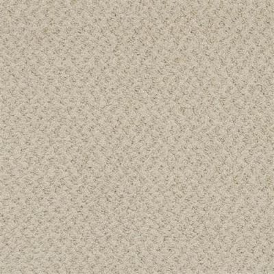 Masland New Hope Foggy 9478-545