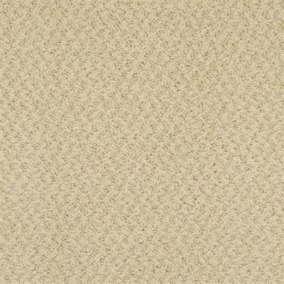 Masland New Hope Coriander 9478-547