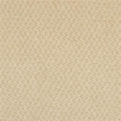 Masland New Hope Warm Tan 9478-557