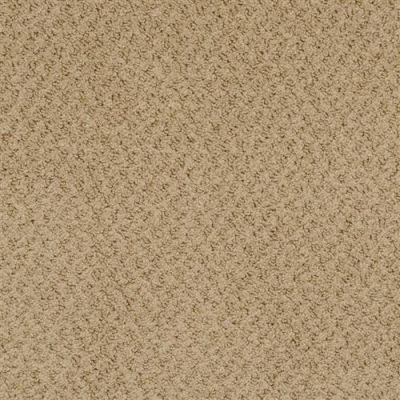 Masland New Hope Wood Smoke 9478-620