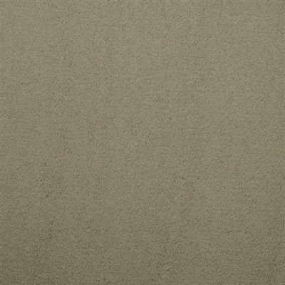 Masland Silk Touch Glade 9515-541