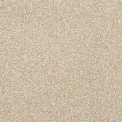 Masland Beacon Hill Meandering 9527-239