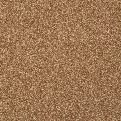 Masland Beacon Hill Walnut 9527-753