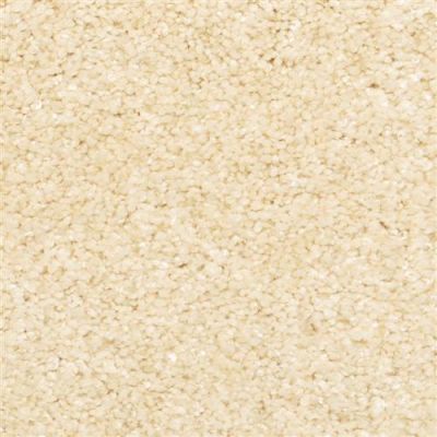 Masland Opalesque Shine On 9528-232