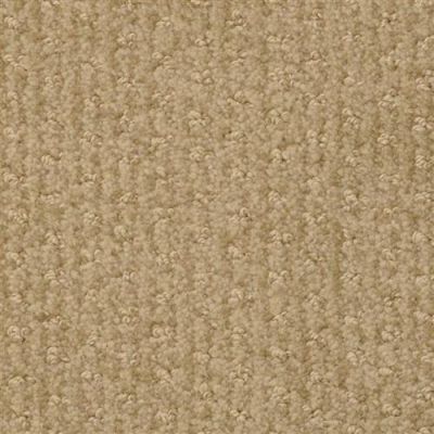 Masland Pinehurst Divot 9533-375