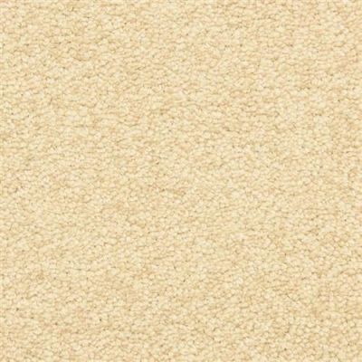 Masland Morgan Bay Brazil Nut 9550-238